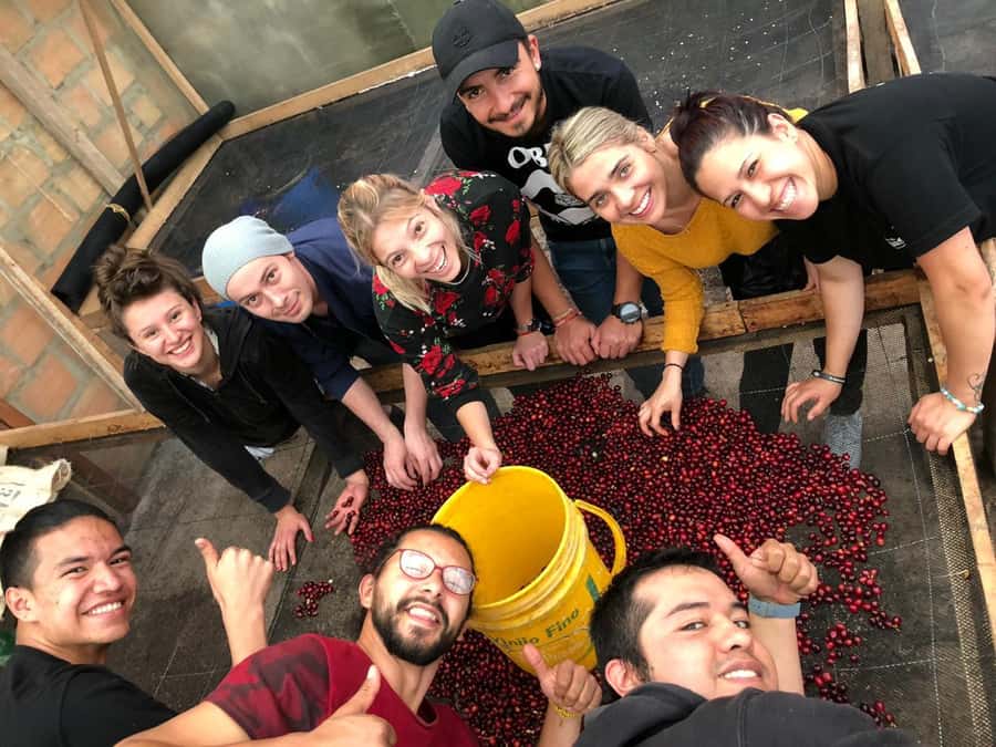 Salento: Private Cocora Valley, Salento & Coffee Farm Tour - What makes the coffee farm visit worthwhile