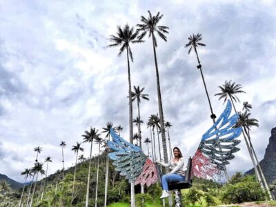 Private Cocora Valley, Salento & Coffee Farm Tour