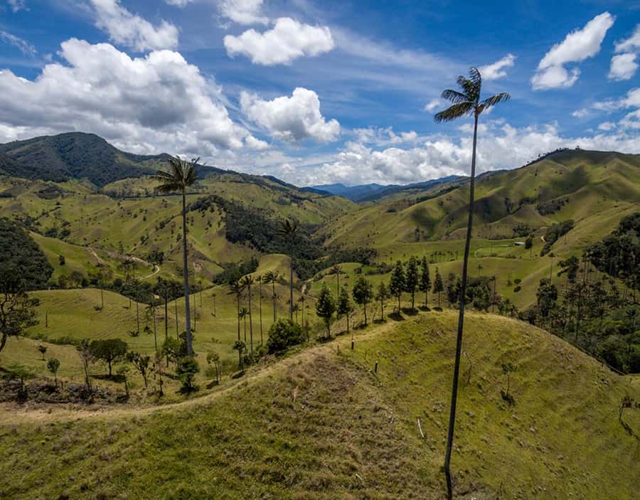 Salento: Private Cocora Valley, Salento & Coffee Farm Tour - The tasting gives the day a satisfying finish