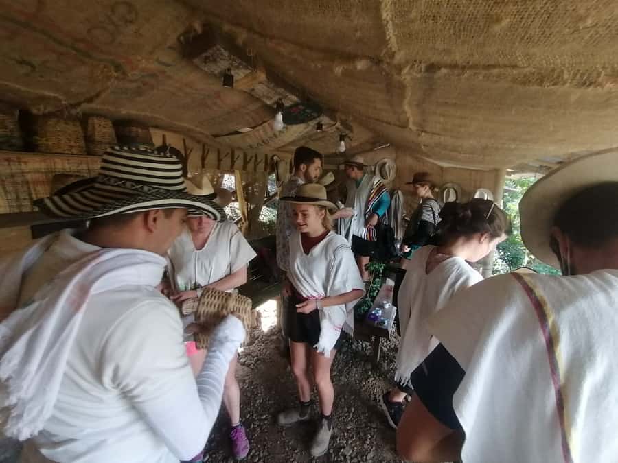 Salento: Private Cocora Valley, Salento & Coffee Farm Tour - Private guiding is the main value