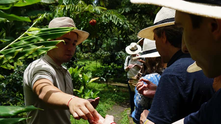 Santa Marta: Minca Coffee, Cocoa, & Waterfall Full-Day Trip - Leaving Santa Marta for the Minca hills