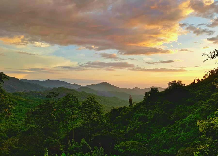 Santa Marta: Minca Coffee, Cocoa, & Waterfall Full-Day Trip - Lunch with views over Minca