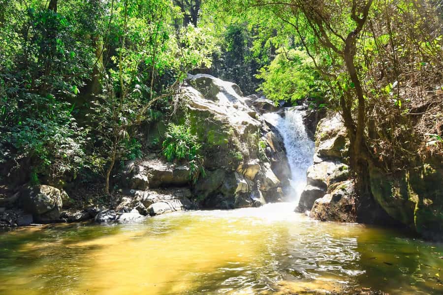 Santa Marta: Minca Coffee, Cocoa, & Waterfall Full-Day Trip - Which guides and group style suit you best?