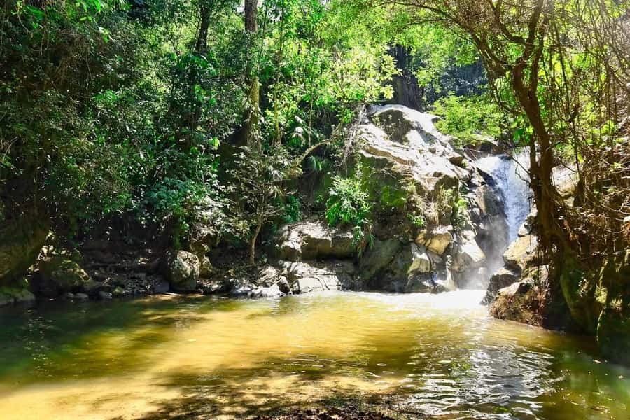 Santa Marta: Minca Coffee, Cocoa, & Waterfall Full-Day Trip - What to pack for Minca
