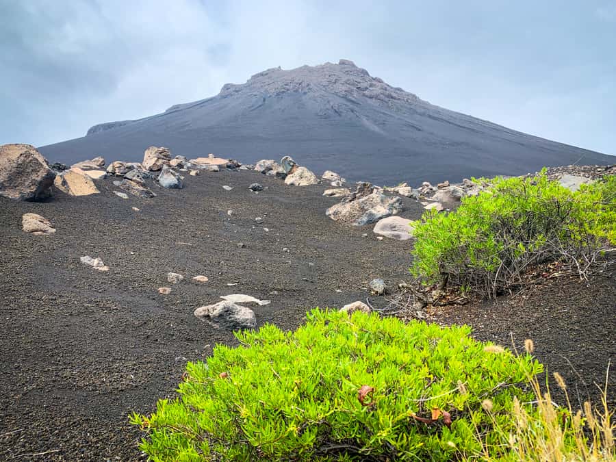 Sao Filipe: Coffee Plantation and Natural Pools Day Trip - Key points to know before booking