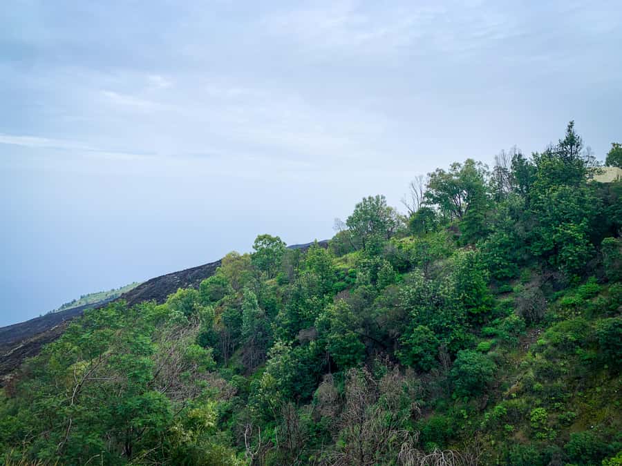 Sao Filipe: Coffee Plantation and Natural Pools Day Trip - A simple local lunch break