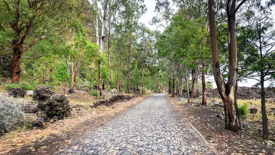 Sao Filipe: Coffee Plantation and Natural Pools Day Trip - Swimming at Salinas de São José