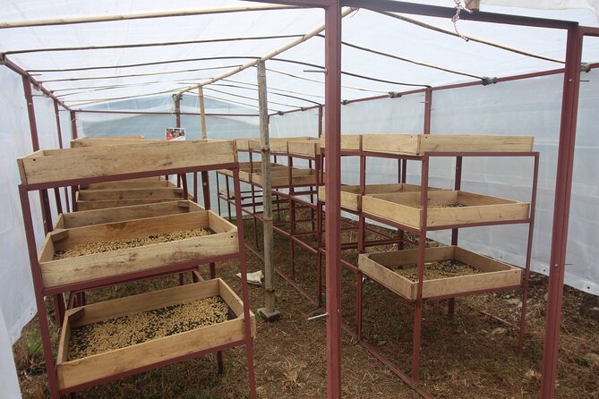 Sarangkot Village Coffee Culture and Authentic Local Life Tour - Starting beside Phewa Lake in central Pokhara