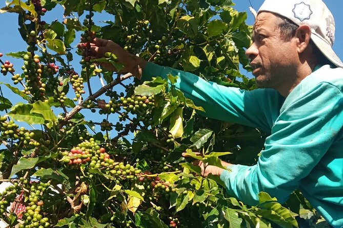 Sarangkot Village Coffee Culture and Authentic Local Life Tour - How flexible is the walking plan?