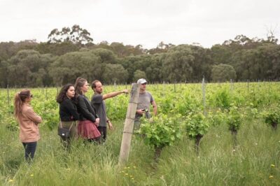 Secret Delights: Curated Wine, Coffee & Forest Experience