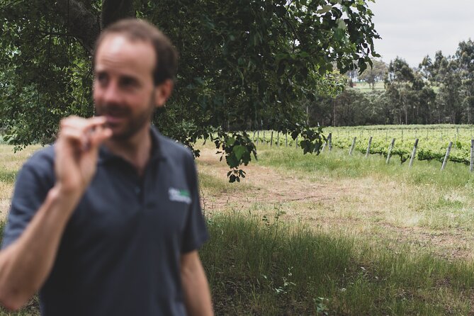 Secret Delights: Curated Wine, Coffee & Forest Experience - Why the guide can shape the whole day