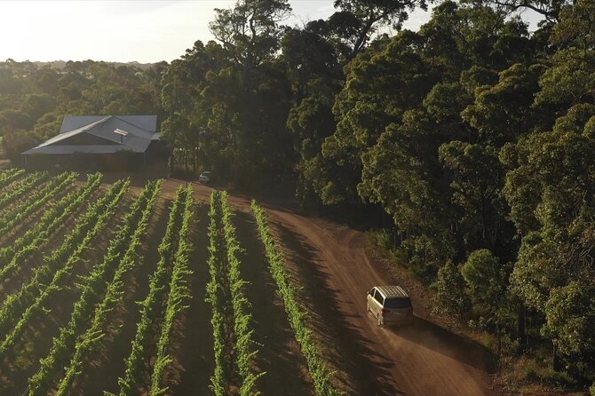 Secret Delights: Curated Wine, Coffee & Forest Experience - Is the $121.93 price good value?