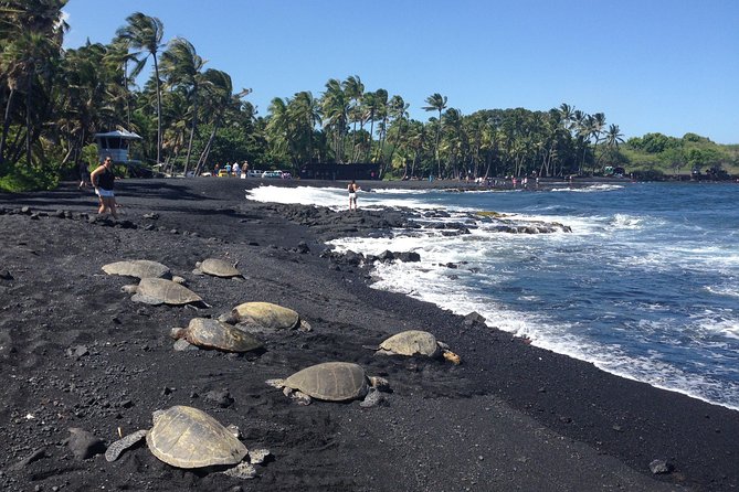 Small-Group Big Island Tour: Hawaii Volcanoes National Park and Kona Coffee Farm - Greenwell Farms and the Kona coffee belt