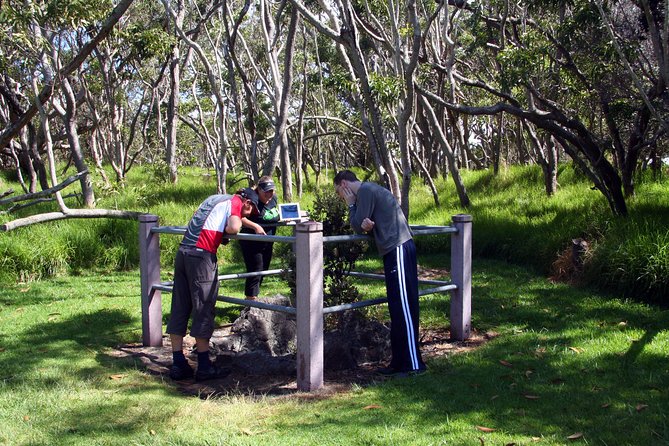 Small-Group Big Island Tour: Hawaii Volcanoes National Park and Kona Coffee Farm - Entering Hawaiʻi Volcanoes National Park