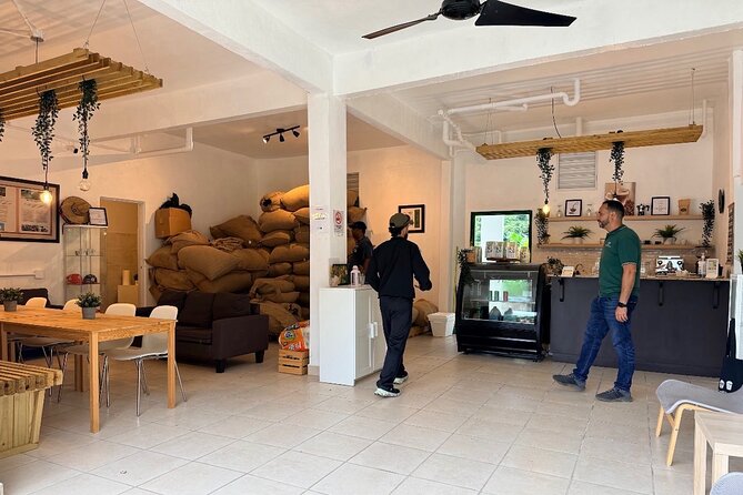 Sueños de Cafe - A Coffee Lovers Dream - Hacienda Prosperidad, from coffee cherry to V60 cup