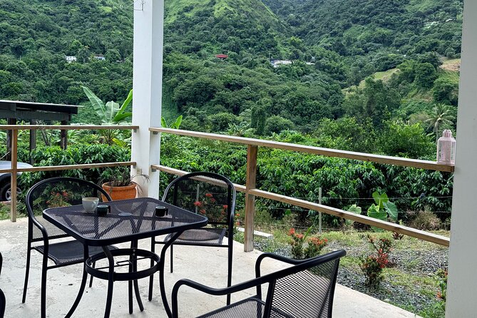 Sueños de Cafe - A Coffee Lovers Dream - What the $209 price covers