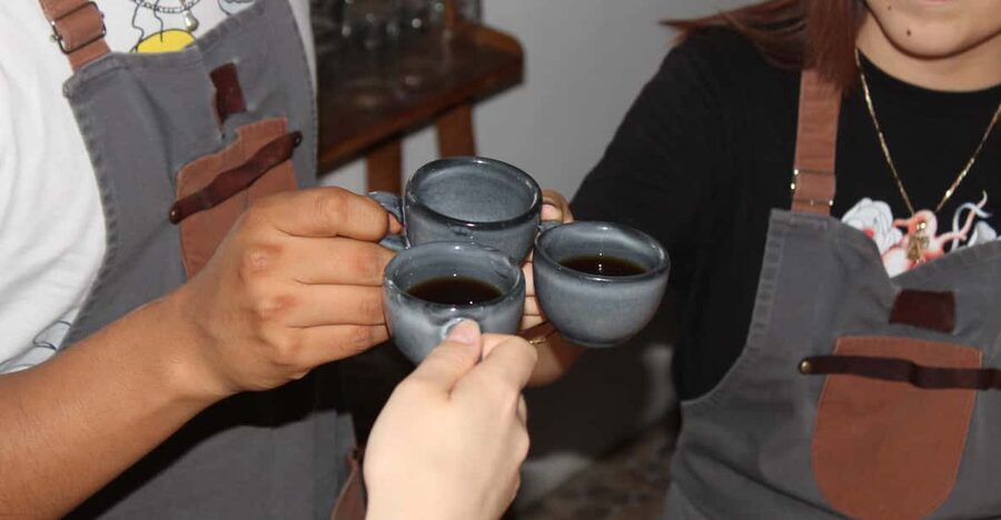 Tasting of Oaxacan Coffees - What You Can Learn About Oaxacan Coffee