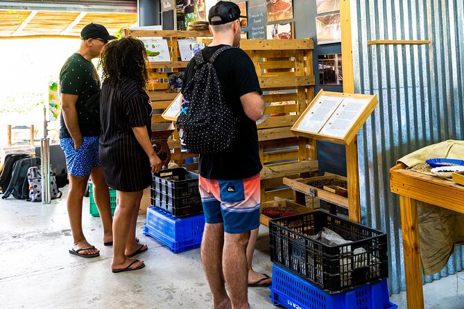 The Coffee Experience - Following coffee from the Dominican mountains