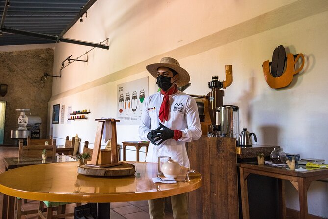 The Colors of Coffee in the Farms of Coatepec - What the coffee lesson adds to the day