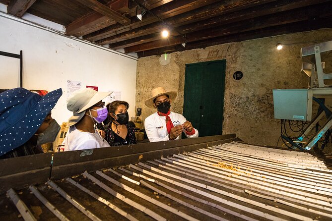 The Colors of Coffee in the Farms of Coatepec - The drive from Veracruz: a major part of the experience