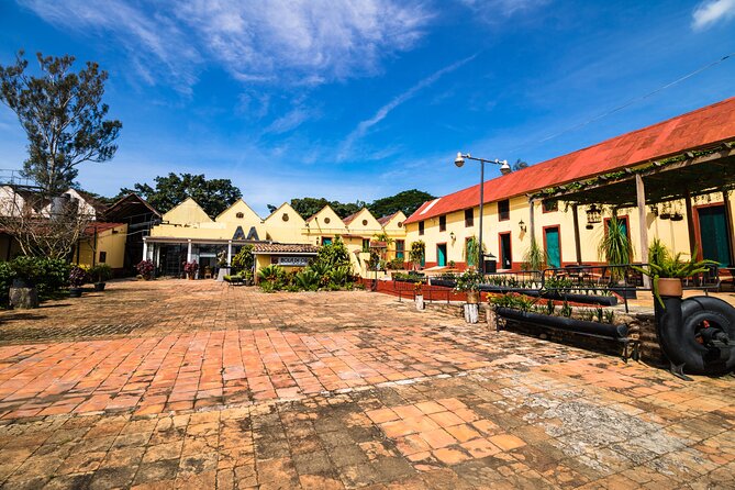 The Colors of Coffee in the Farms of Coatepec - Finca Roma Bola de Oro and old coffee machinery