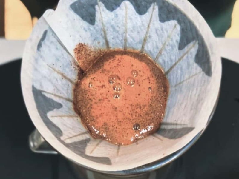 The Specialty Coffee Roastery Tasting Experience in Turin - From Colombian Farms to the Roasting Room