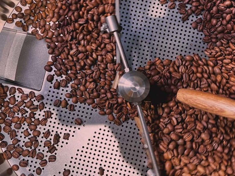 The Specialty Coffee Roastery Tasting Experience in Turin - How the Hosts Shape the Experience