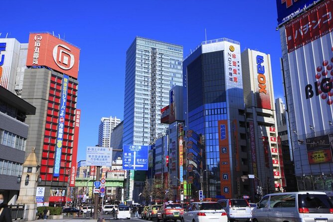 Tokyo Akihabara Anime Manga Video Games and Maid Cafe Tour - Why a guide helps in Akihabara