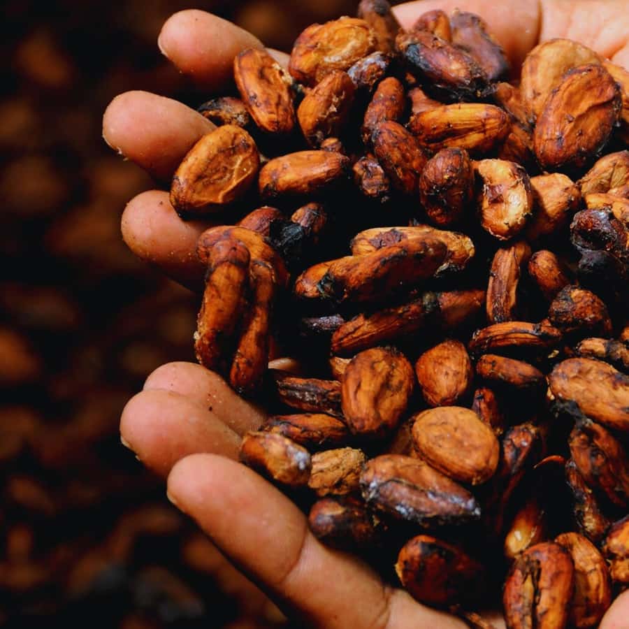 Trekking History and Indigenous Heritage in Minca + Cacao & Coffee + Waterfall - The waterfall pause, with a little flexibility