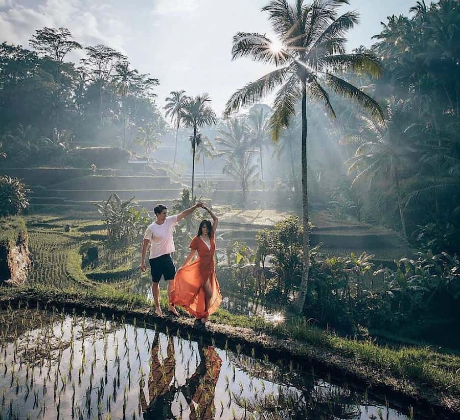 Ubud: Waterfall, Holy Water Temple,Swing&coffee plantation - Why this Ubud day tour works