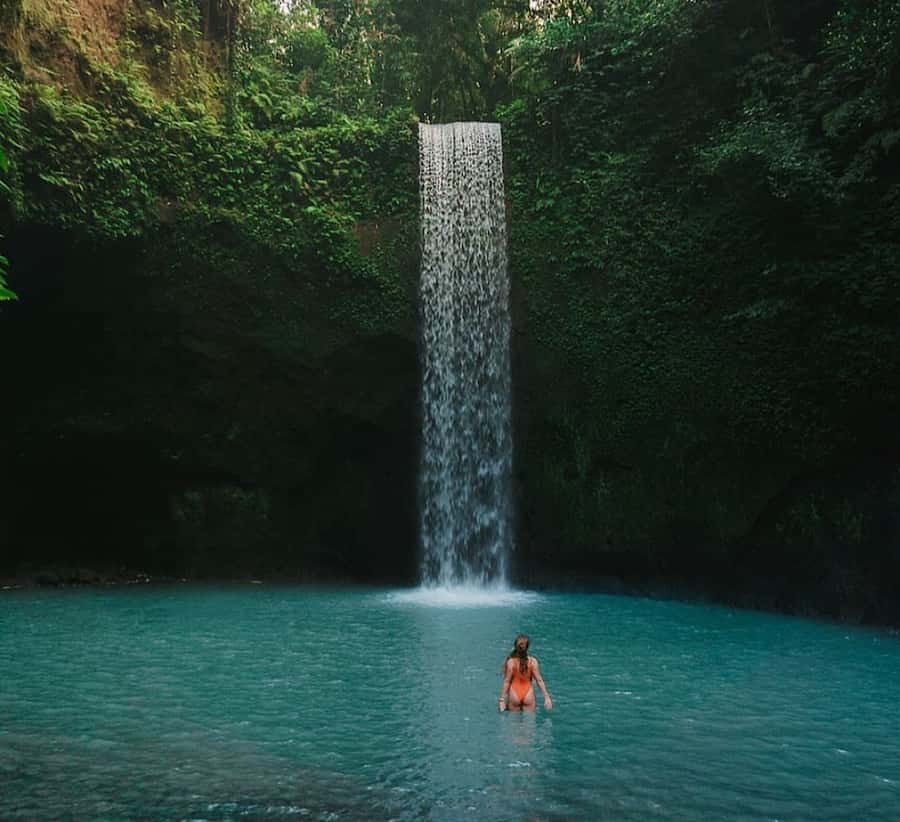 Ubud: Waterfall, Holy Water Temple,Swing&coffee plantation - What the $24 price really covers