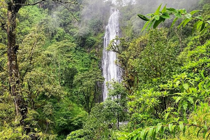 Waterfall, coffee tour & hot springs - lunch and drinks included - Kikuletwa Hot Springs for the afternoon finish