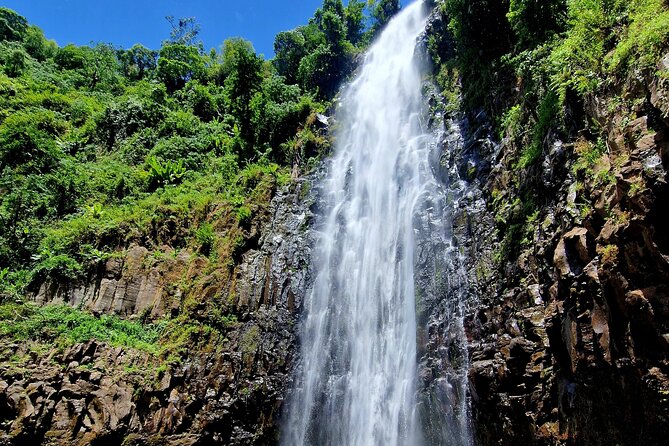 Waterfall, coffee tour & hot springs - lunch and drinks included - Who will enjoy this tour most?