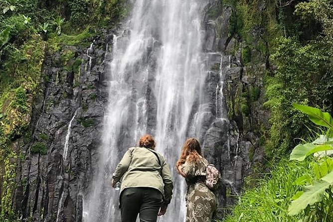 Waterfall & Coffee Walking Tour - Lunch and a look at village life