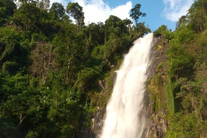 Waterfalls, Coffee, Hotsprings, Food Cuisine, & Serval Wildlife - Chagga Lunch With Local Flavor