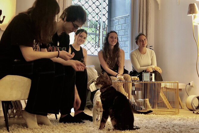 Whiskers & Coffee: Relax and Play with Adorable Cats - Coffee, Homemade Cookies, and Meals