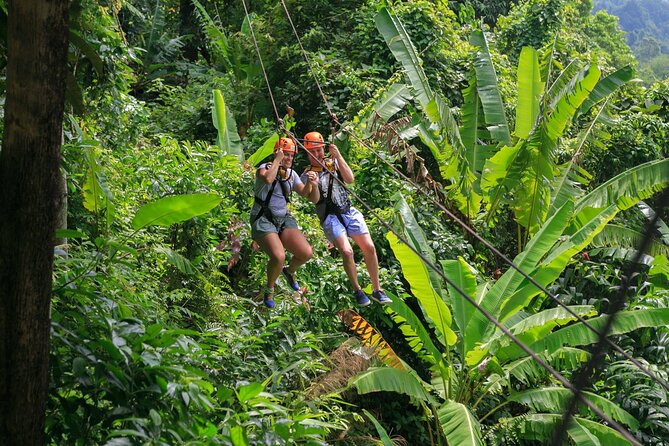 Zipline & Coffee with Waterfall Views in Koh Samui - Eight lines through the treetops